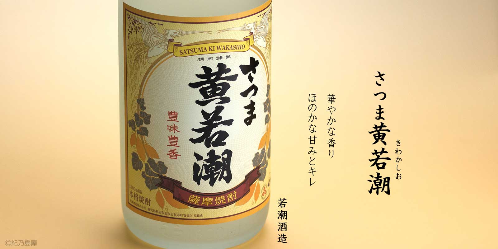 さつま黄若潮《芋焼酎》
