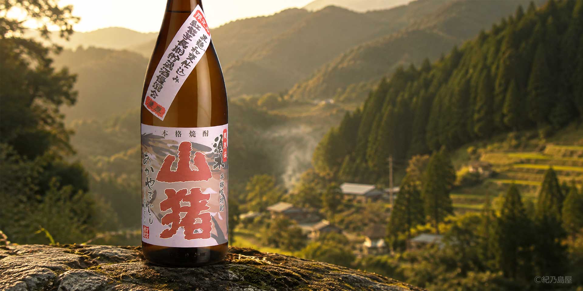 赤山猪（あかやまじし）《芋焼酎》