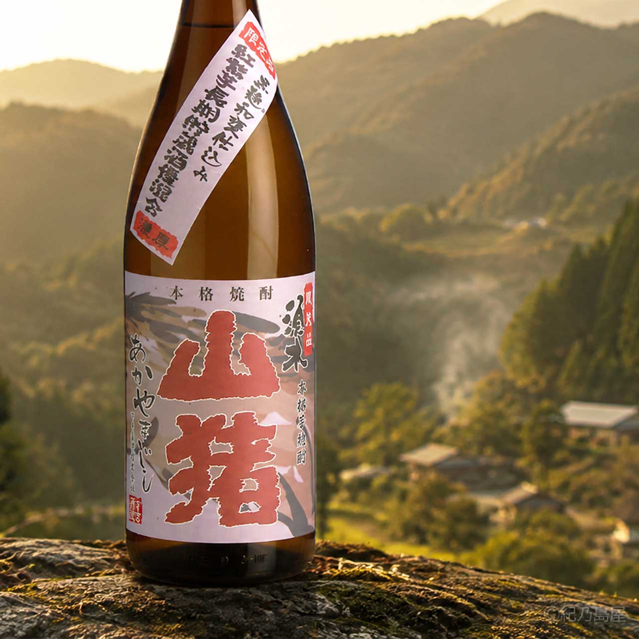 赤山猪（あかやまじし）《芋焼酎》